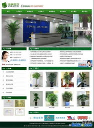 上海闵行网站制作与建设 打造专业网页设计的全方位服务指南